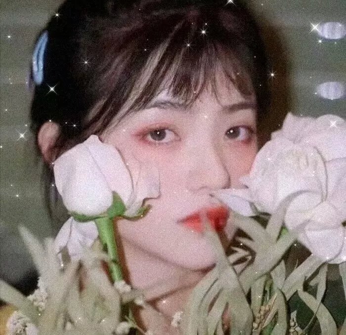 最后的美丽